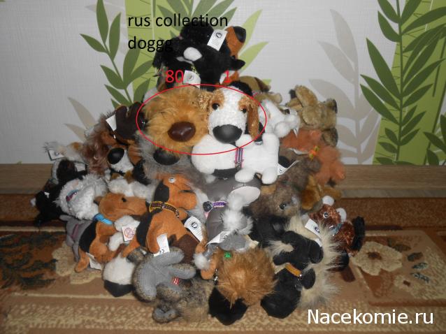 The Dog Collection Болталка