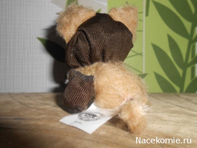 The Dog Collection Болталка