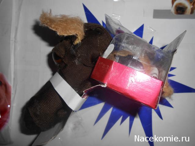 The Dog Collection Болталка