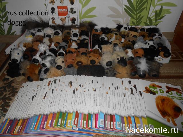 The Dog Collection Болталка