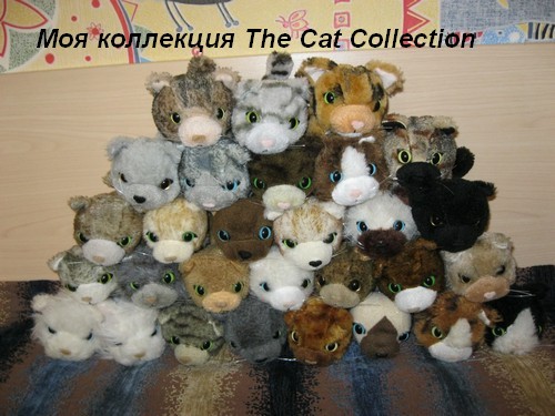 Конкурс на лучшее фото коллекции The cat collection
