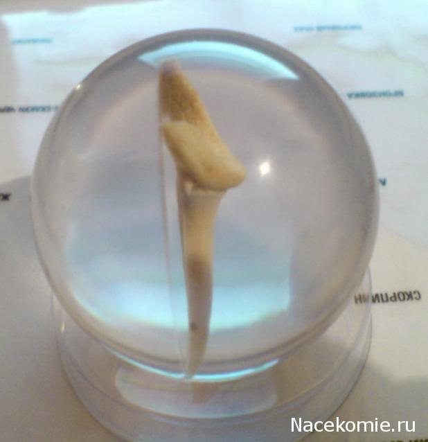 Тестовая серия