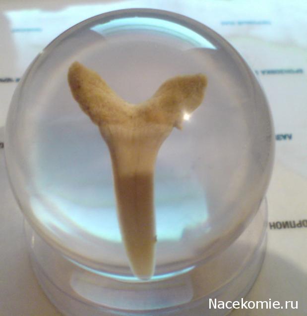 Тестовая серия