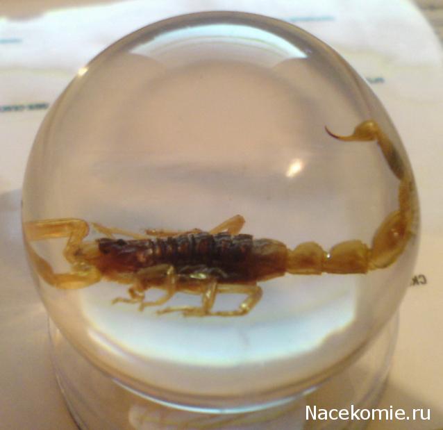 Тестовая серия