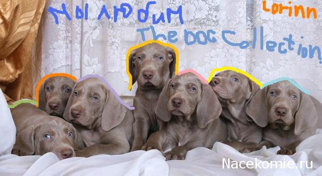 The Dog Collection Болталка