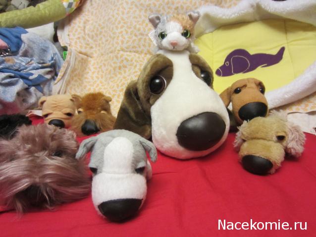 The Dog Collection Болталка