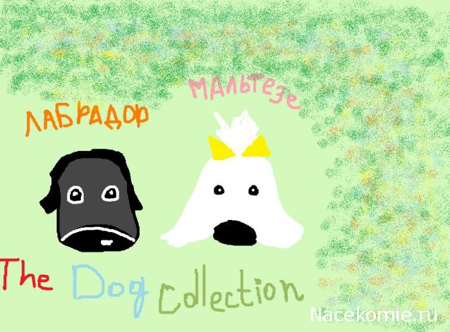 The Dog Collection Болталка