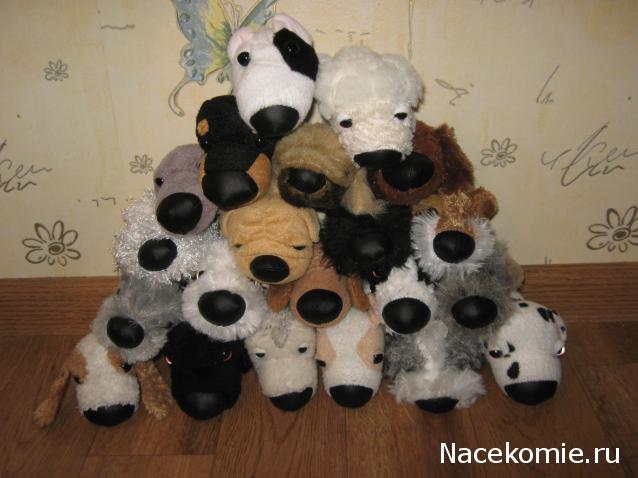 The Dog Collection Болталка