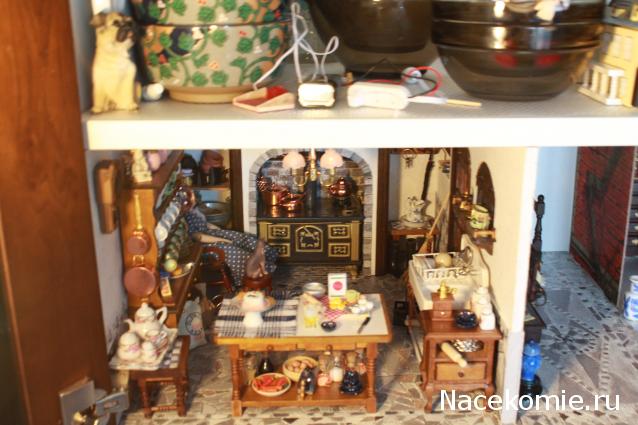 sphynx Канадские сфинксы в английском доме