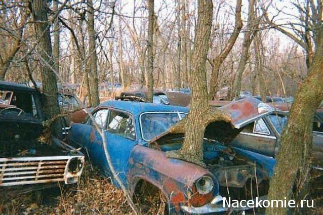 Паддок-клуб. Болталка форума Ferrari Collection.