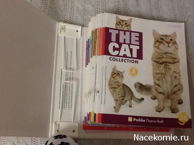 Кошкин дом. Болталка The Cat Collection
