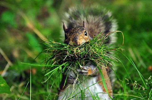 Дом Мечты Болталка: перезагрузка