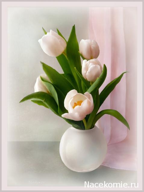 Дамы эпохи - Болталка №2 (соседняя палата)