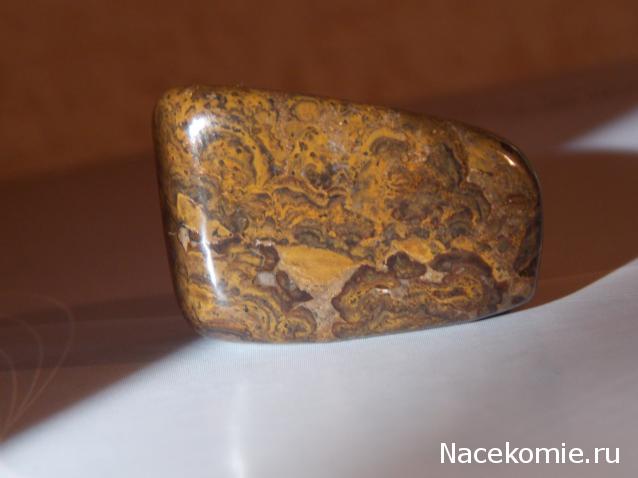 Энергия камней № 108 Строматолит (окатанный камень) фото, обсуждение