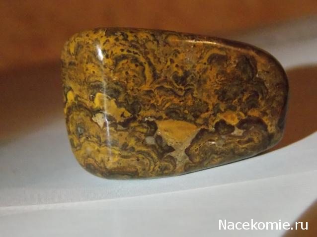 Энергия камней № 108 Строматолит (окатанный камень) фото, обсуждение