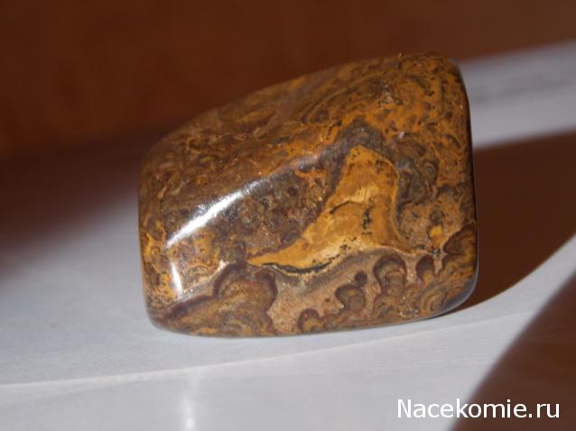 Энергия камней № 108 Строматолит (окатанный камень) фото, обсуждение