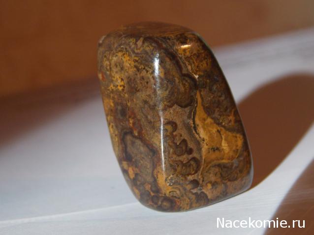 Энергия камней № 108 Строматолит (окатанный камень) фото, обсуждение