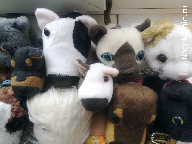 The Dog Collection Болталка