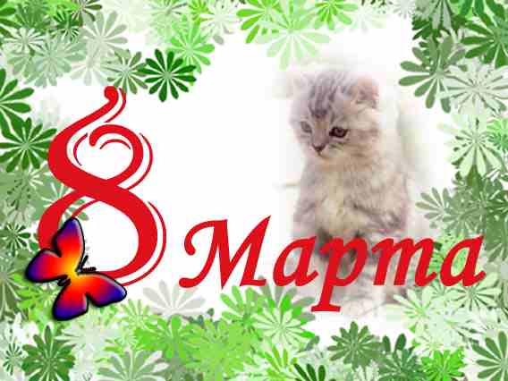 Дамы эпохи - Болталка №2 (соседняя палата)