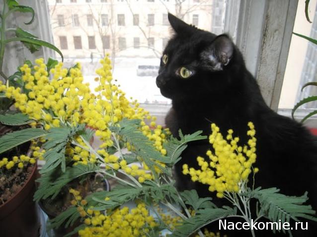 Куклы в народных костюмах – "Девчушки-болтушки"
