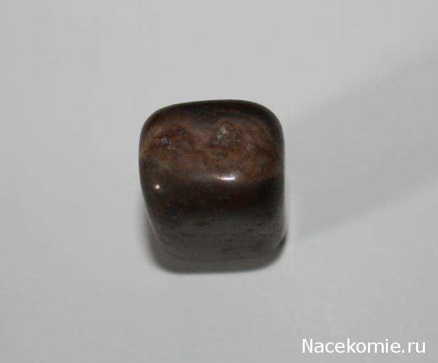 Энергия камней №110 Кофейная яшма (окатанный камень) фото, обсуждение