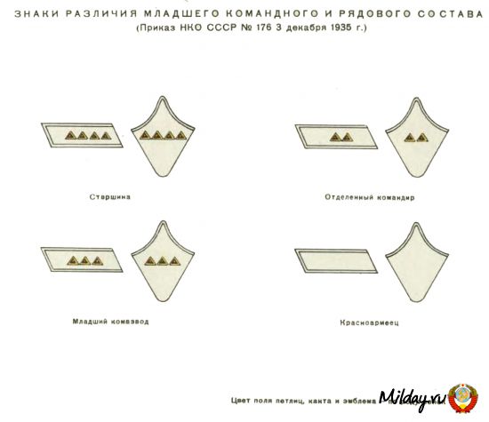 Солдаты ВОВ №6 - Отделенный командир Донских казачьих частей в парадной форме, 1941 г.