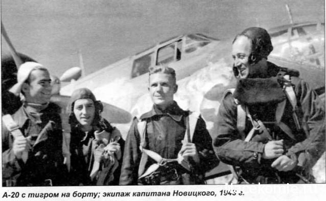 Солдаты ВОВ - Землянка (общение на разные темы)