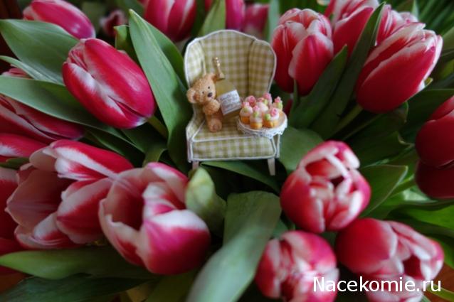 Дом Мечты наши дни рождения