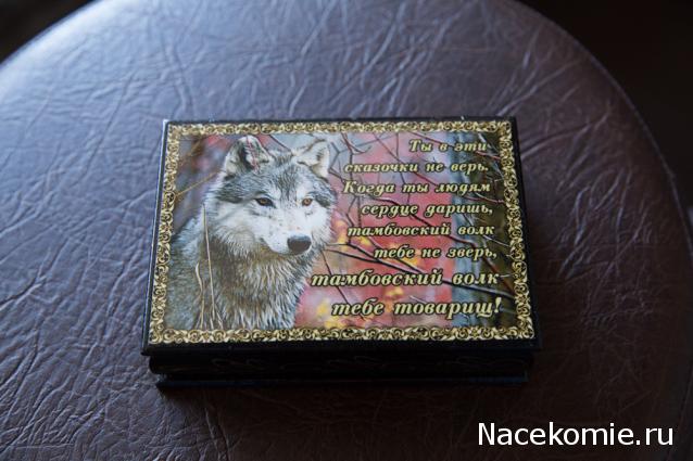 Дом Мечты и Трамвайчик желаний