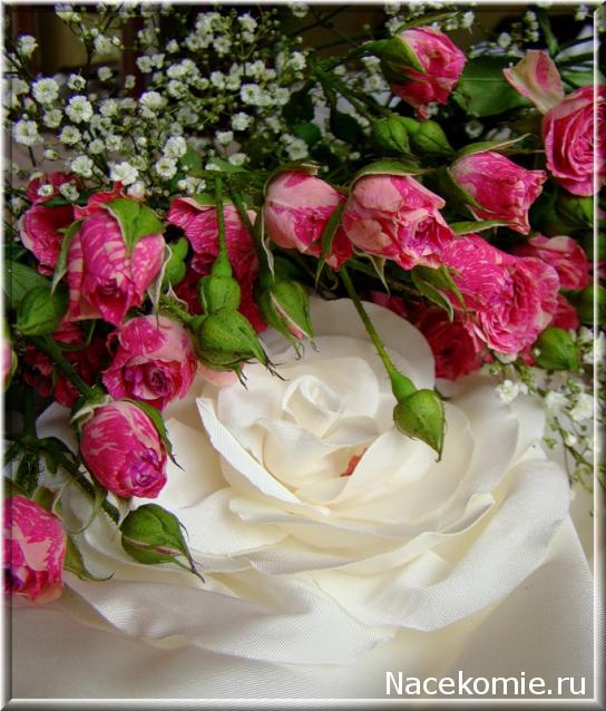 Alika - миниатюрная радость