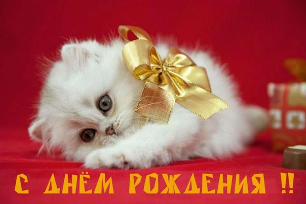 Дамы эпохи - Наши дни рождения