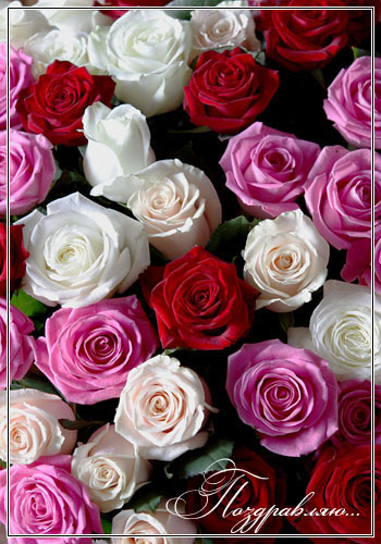 Дом Мечты наши дни рождения