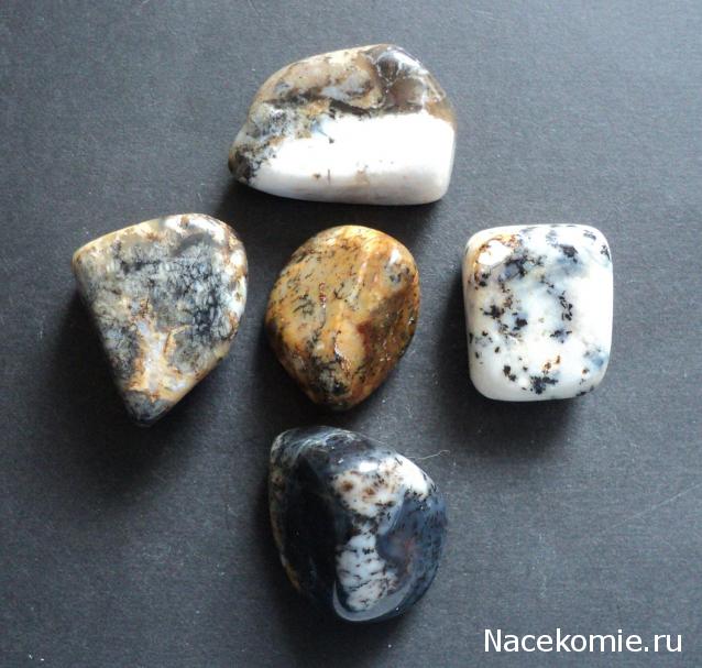 Энергия камней №111 Моховой опал (окатанный камень) фото, обсуждение