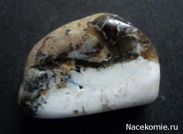 Энергия камней №111 Моховой опал (окатанный камень) фото, обсуждение