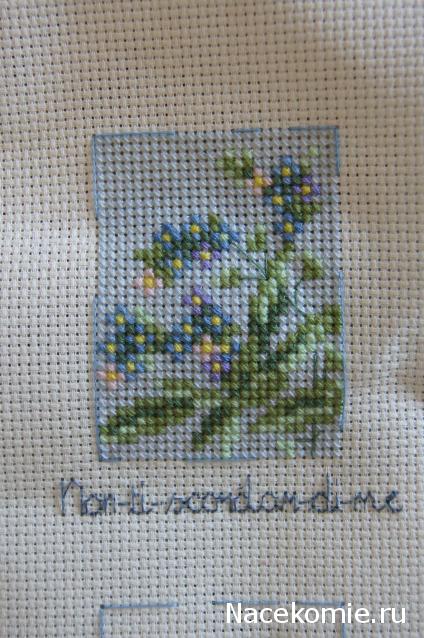 Round Robin_координатор Mabelle