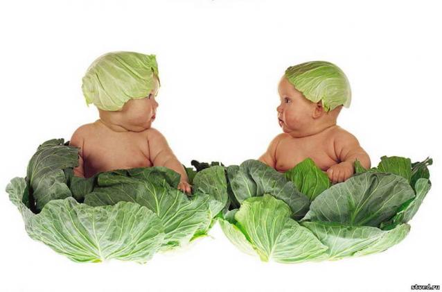 Дом Мечты наши дни рождения