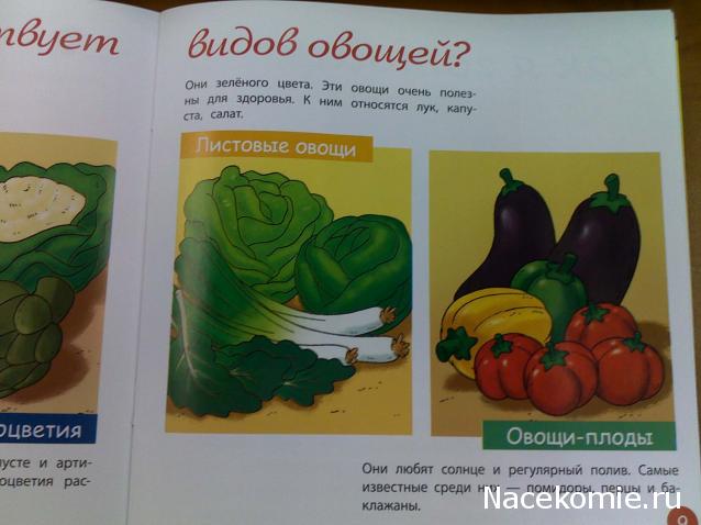 Животные на Ферме №58: голубь с птенцами, садовая тачка
