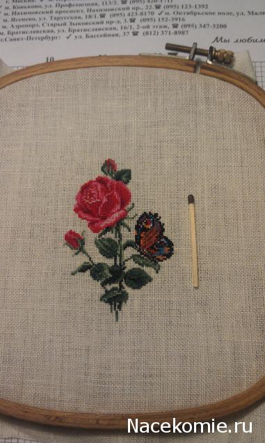 LILY - Галочкино чудо!