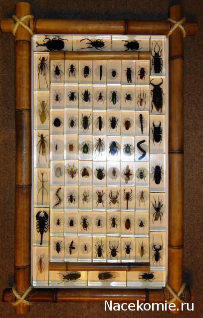 Насекомые и их знакомые 2010 График Выхода и обсуждение