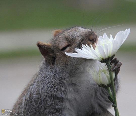 Дом Мечты наши дни рождения