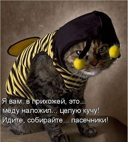 Дом Мечты Болталка: перезагрузка