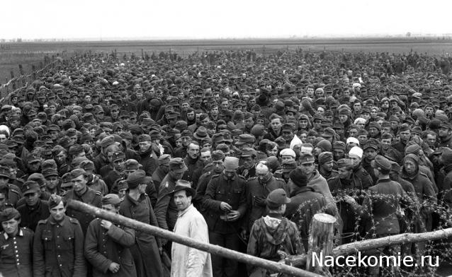 Солдаты ВОВ - Землянка (общение на разные темы)