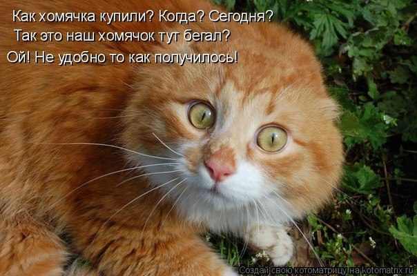 Дом Мечты Болталка: перезагрузка