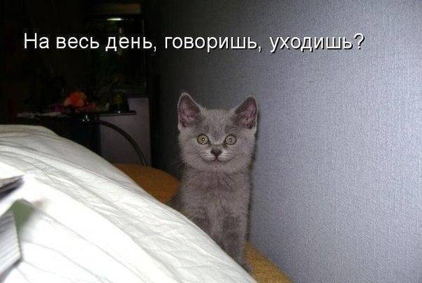 Дом Мечты Болталка: перезагрузка