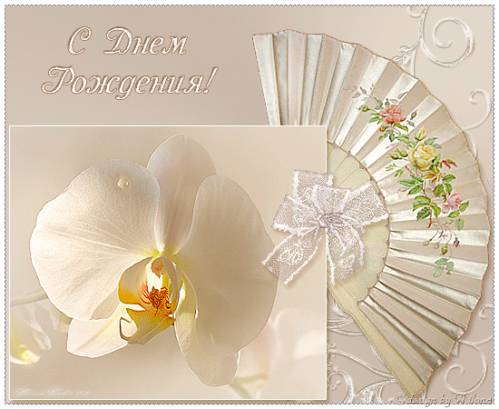 Дом Мечты наши дни рождения