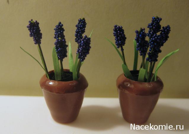 Albusya - "Dream House"