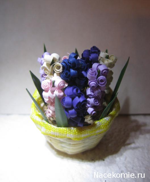 Albusya - "Dream House"