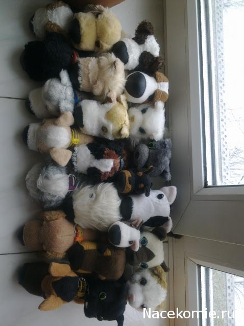 The Dog Collection Болталка