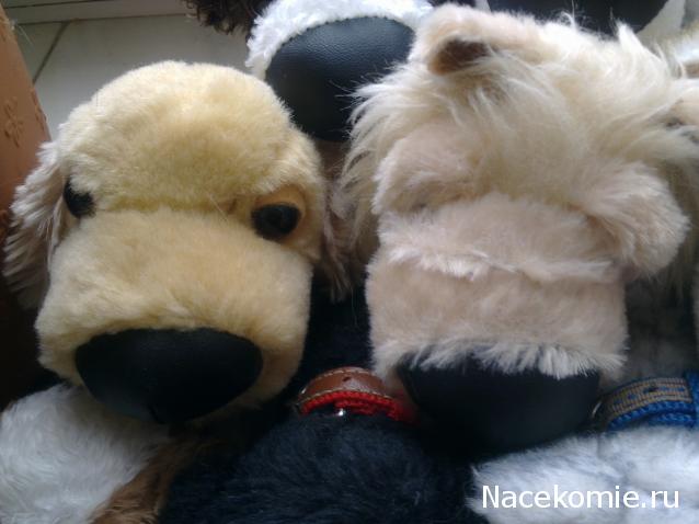 The Dog Collection Болталка