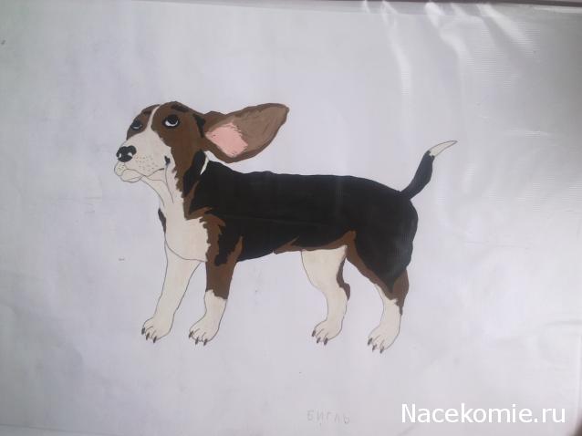 The Dog Collection Болталка